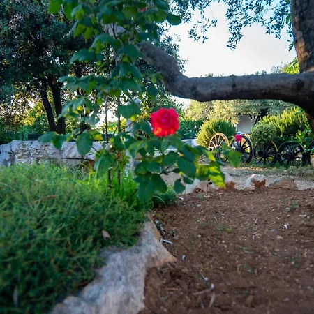 House Cvita 別荘 *