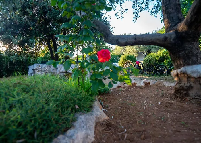 House Cvita 別荘 *